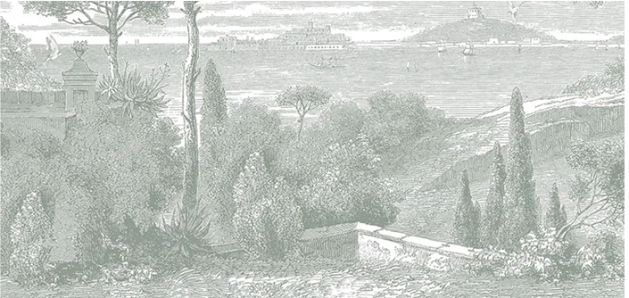 nature design wallpaper